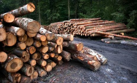 Nowy park linowy i wyjątkowe kabriolety. To będzie majówka pełna atrakcji