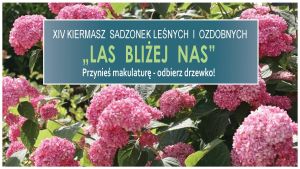 Kiermasz Sadzonek Leśnych i Ozdobnych "Las Bliżej Nas"