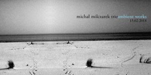 Michał Milczarek Trio w Zmianie Klimatu
