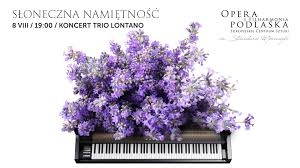 Koncert "Słoneczna namiętność" Trio Lontano