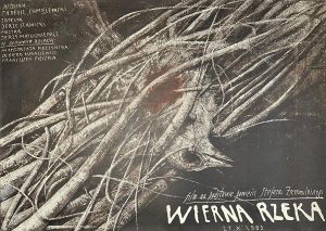 Podlaska Akademia Kultury: film "Wierna rzeka"