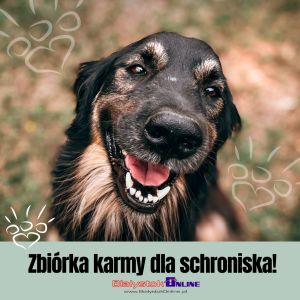 Zbiórka karmy dla schroniska w BiałystokOnline