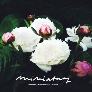 Koncert MINIATURY