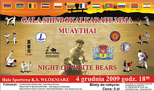 Zawodowa Gala Shindokai Karate, Muaythai i MMA