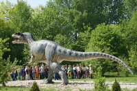 Jurajski Park Dinozaurów - Muzeum Dziejów Ziemi