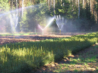 Garden - baseny, wanny spa, systemy nawadniające