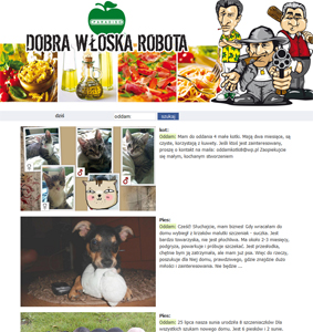 psy i koty do ODDANIA za darmo
