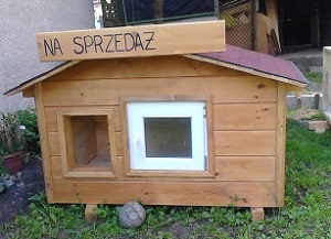 Sprzedam ocieplaną  bude dla psa