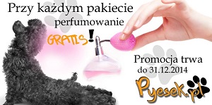 Salon Strzyżenia psów! 40zł! Św Rocha 13/15 lok 12 pyesek.pl