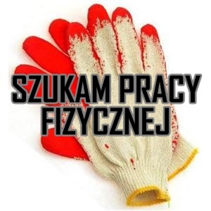 ., praca: szukam pracy, Ogłoszenia drobne Białystok Online ...