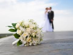 WELLWED fotografia ŚLUBNA i coś więcej!