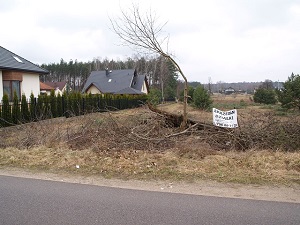 działka Jaworowa Olmonty 