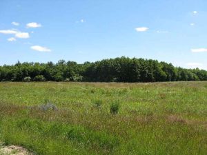   ŚRÓDLESIE-  DZIAŁKA BUDOWLANA ( 1216m2) POD ZABUDOWĘ JEDNORODZINNĄ