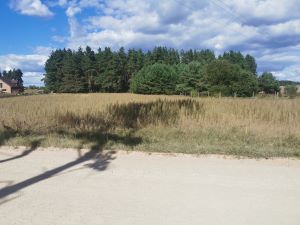 działka Ogrodniczki 