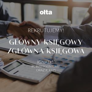 Główny Księgowy / Główna Księgowa