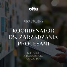 KOORDYNATOR DS. ZARZĄDZANIA PROCESAMI
