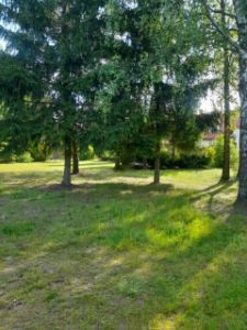  Działka w Hryniewiczach 800m2 w.z.