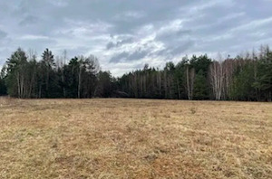 Działka henrykowo 7000m2